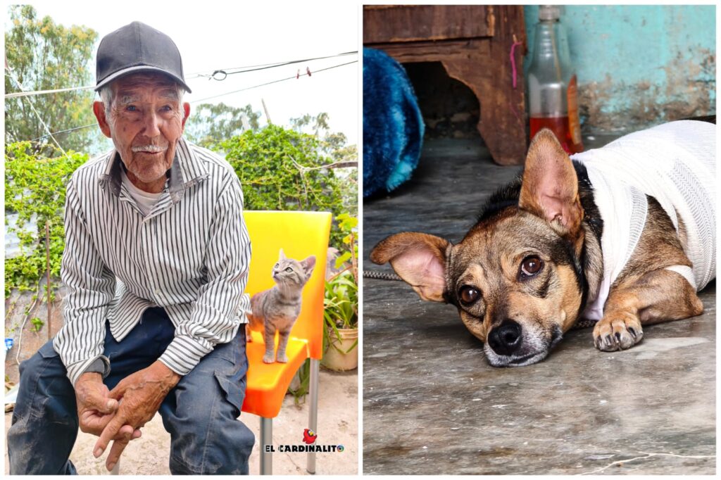 De las lágrimas a los milagros: abuelito de 96 años de Pachuca que lloró por su perrito atropellado hoy sonríe bajo un techo nuevo